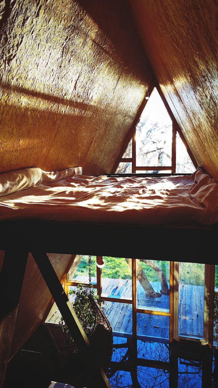 Просторная гостиная коттеджа A-Frame с панорамным остеклением и комнатными растениями — экологичный отдых, усадьба «Тихий Сад»
