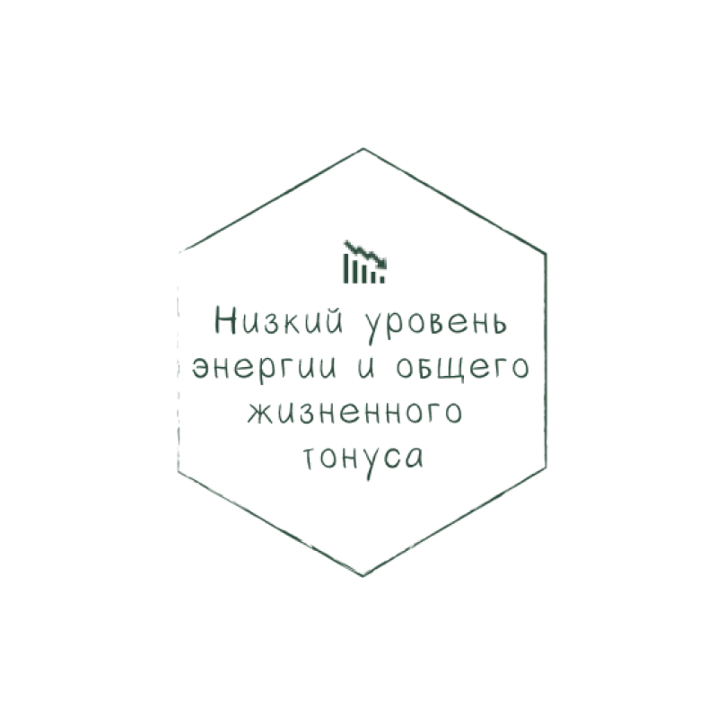 У вас низкий уровень энергии и общего жизненного тонуса? — оздоровительный ретрит для восстановления сил в Quiet Garden Belarus (Тихий Сад): здоровое видовое питание, йога, кунг-фу, прогулки на природе, коттеджи CYBERDOME, Беларусь.